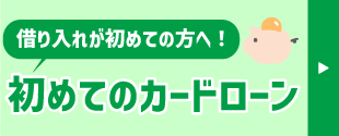 初めてのカードローン